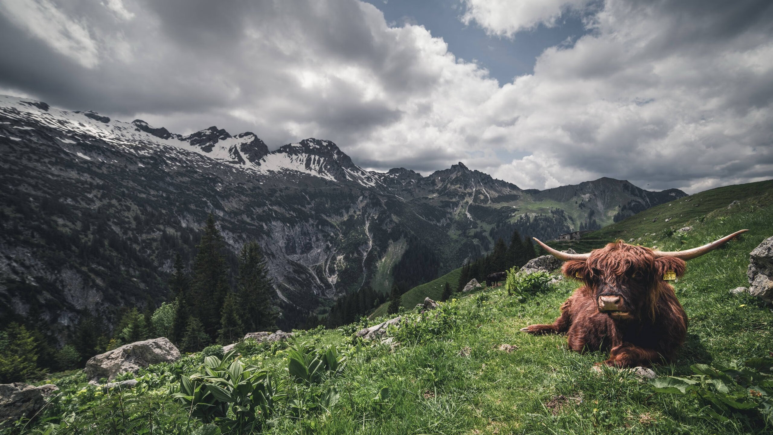 从美网奇迹到戴维斯杯逆转,辛纳如何定义网球的不可逆转时刻