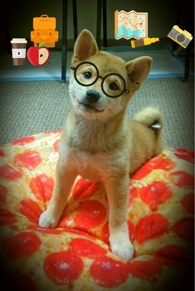 抢在数学之前,哈斯如何用一场意外翻盘小红牛