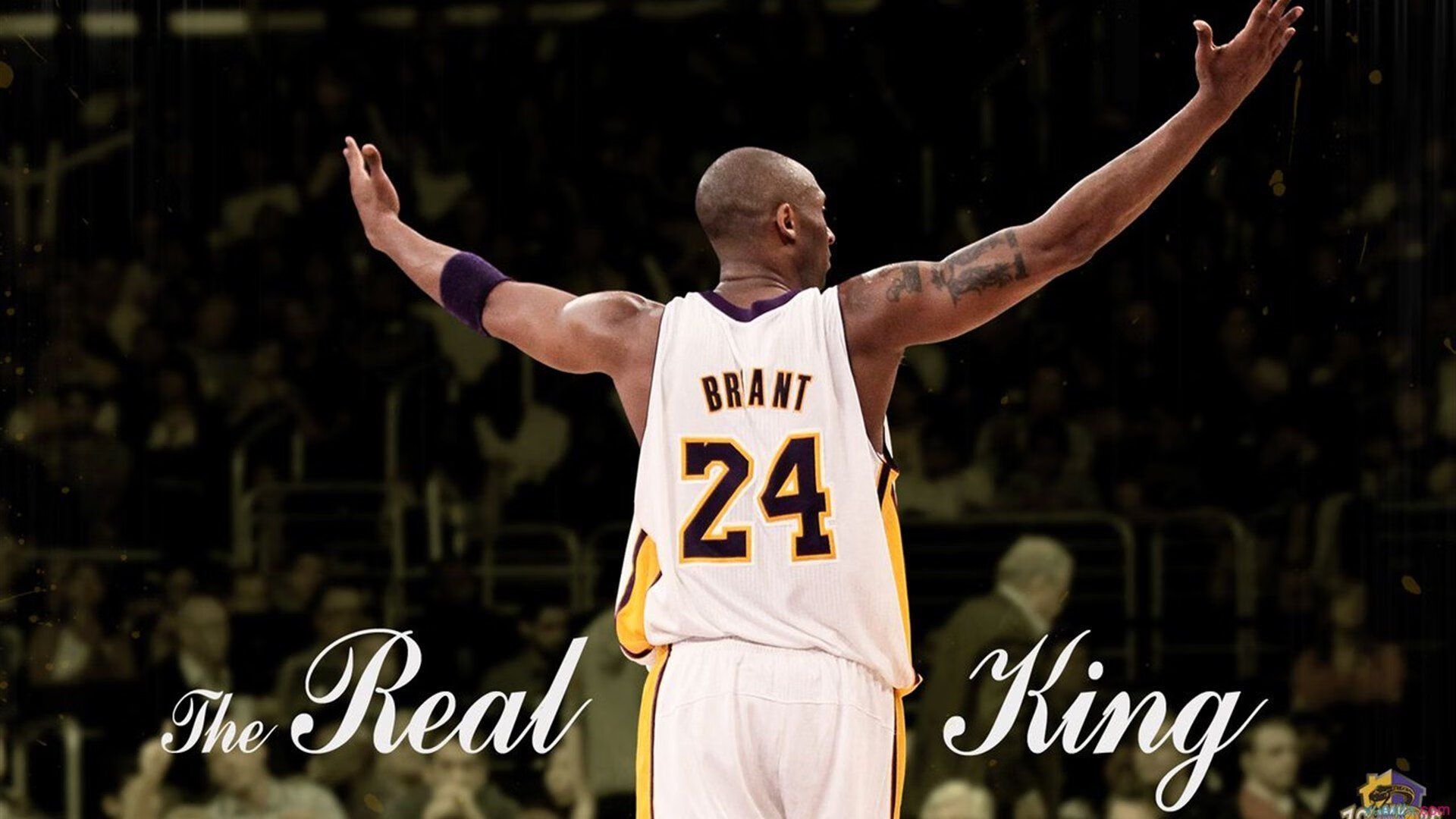 蔚蓝狂想曲，当意大利浪漫碾过北欧坚冰