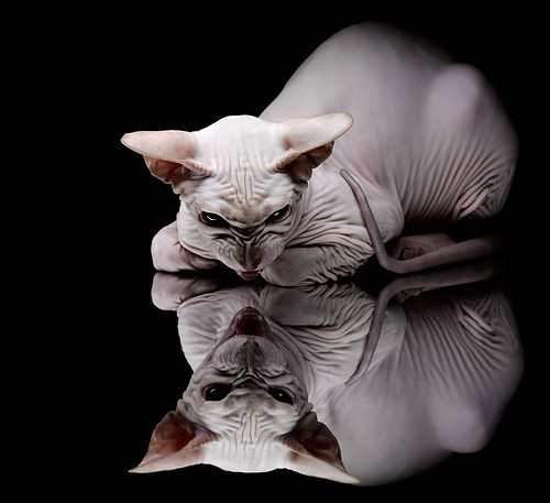 红土硬骨,铁血纪录,穆雷跨越时空的意志之战