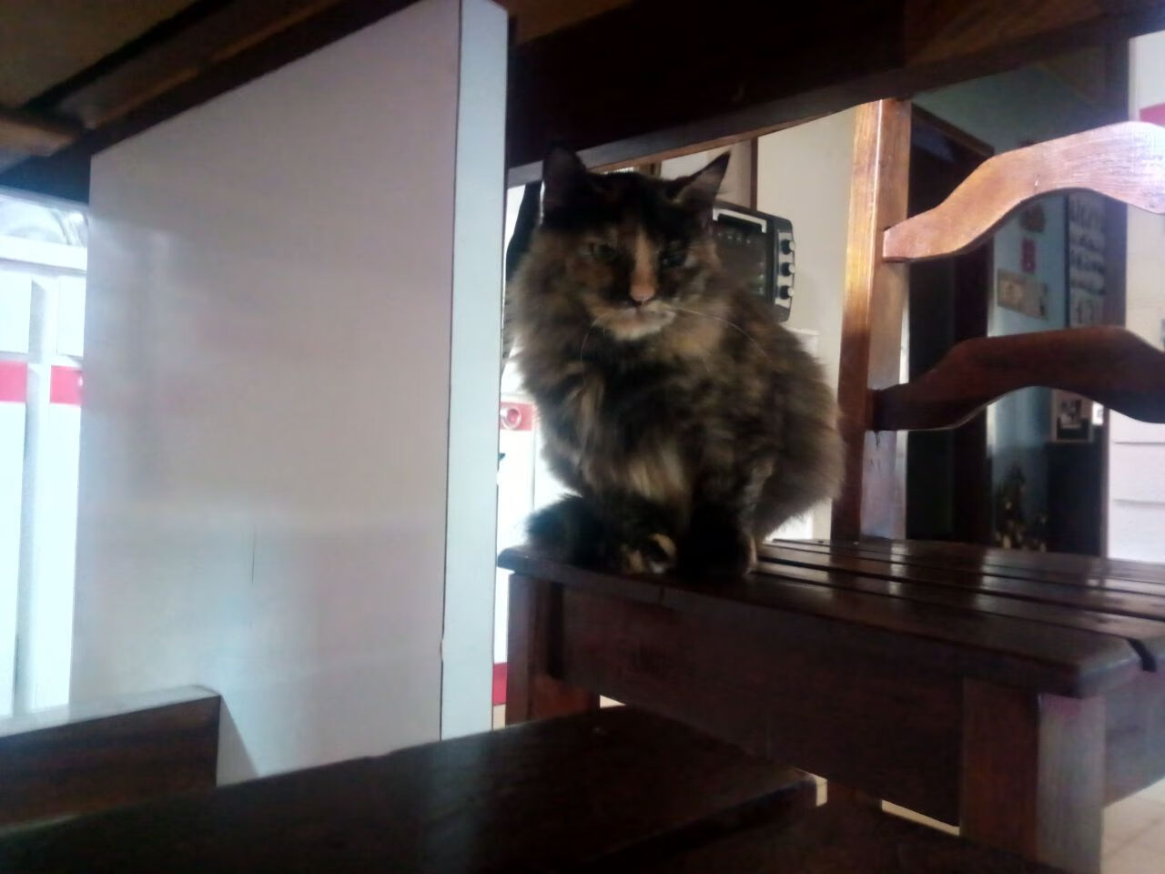 一浪高过一浪，恩比德的得分潮与奇才的失语症