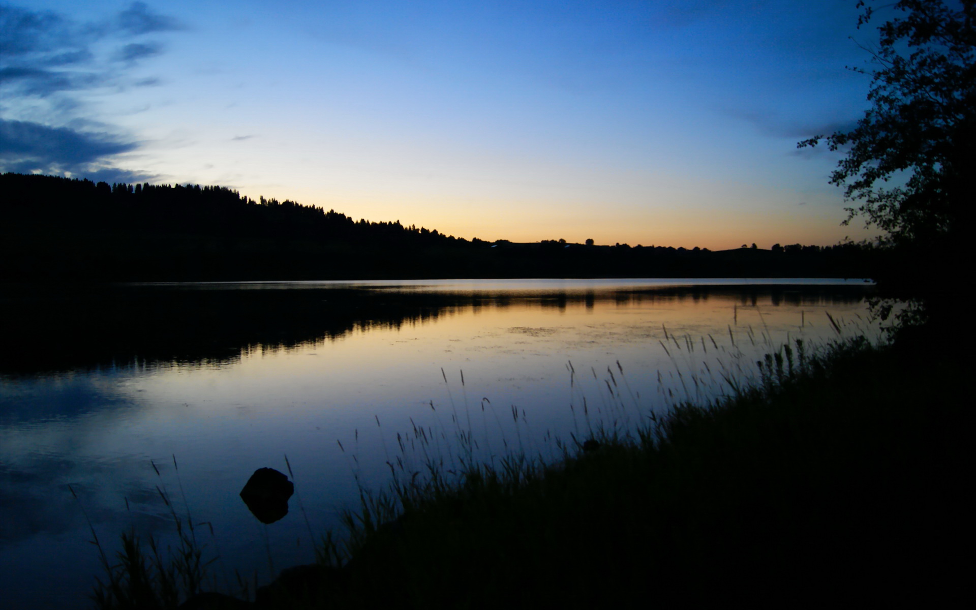 暗夜中，唯一不闪烁的光，戈麦斯与他的稳定输出圣殿