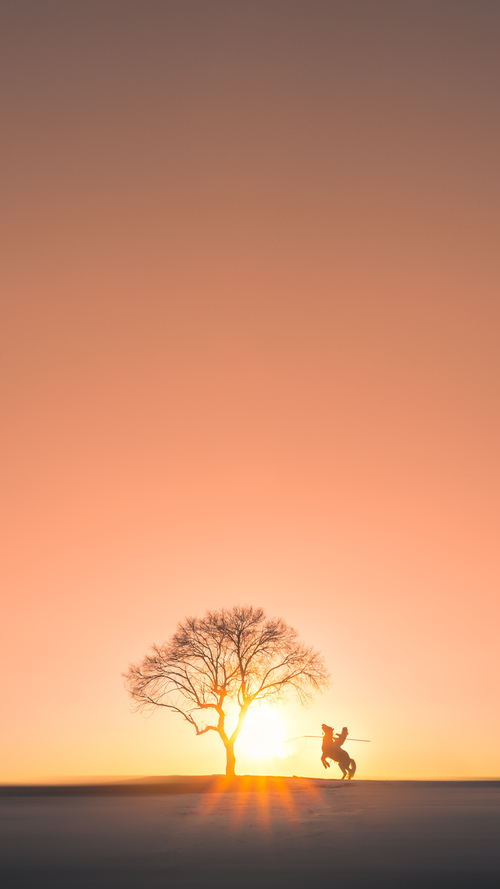 山不会为一颗星低头，当集体荣耀照亮孤独的王座