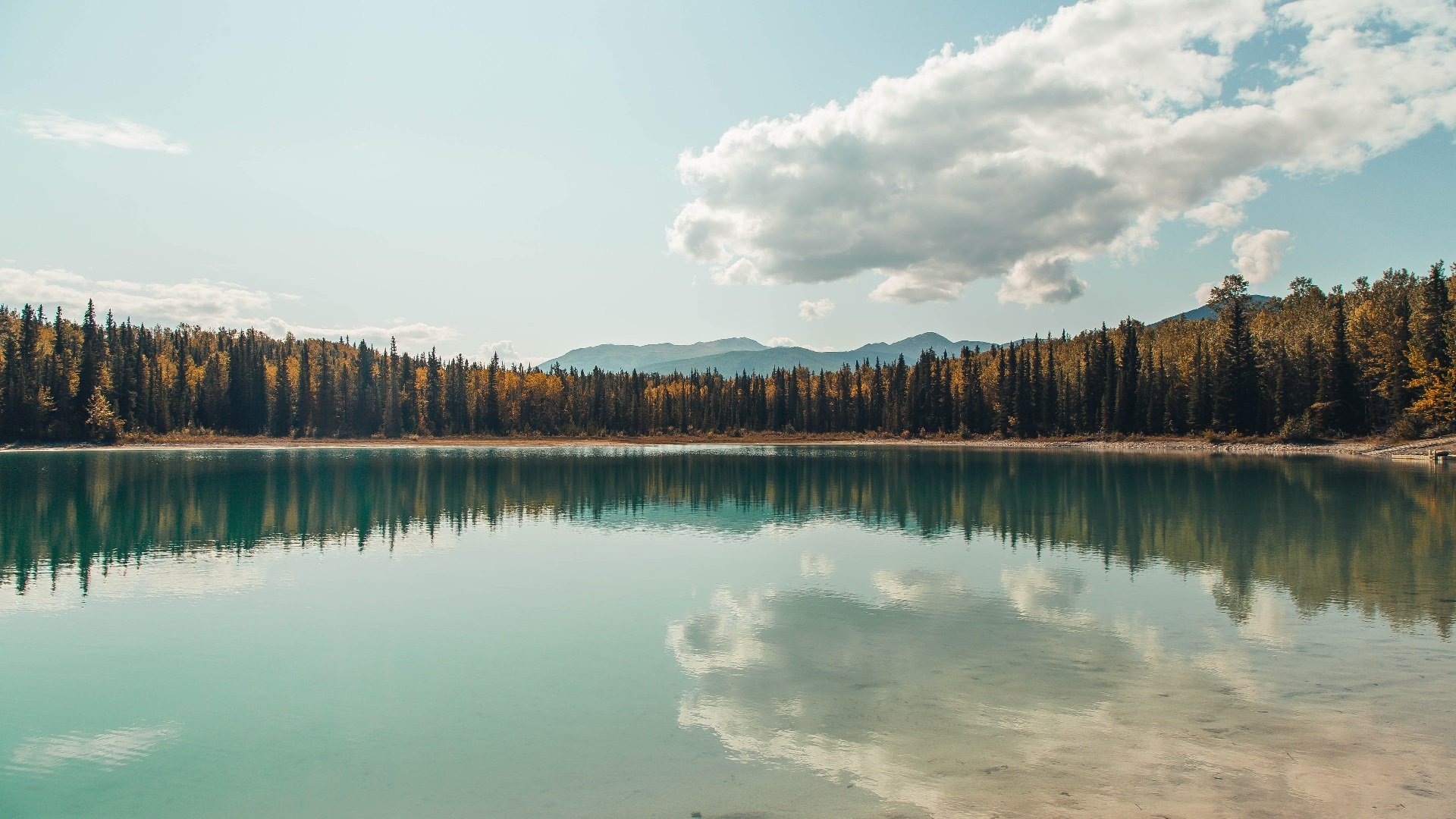 特奥造奇迹，洪都拉斯掀翻多特蒙德的唯一性深度解析