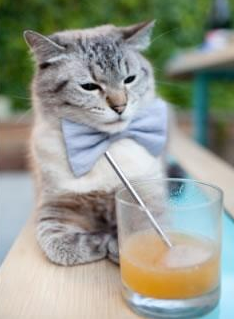 无解字母哥！活塞主场大胜魔术，个人能力碾压团队篮球