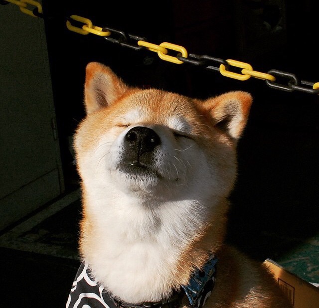 篮球终极问题，东方与西方的回响