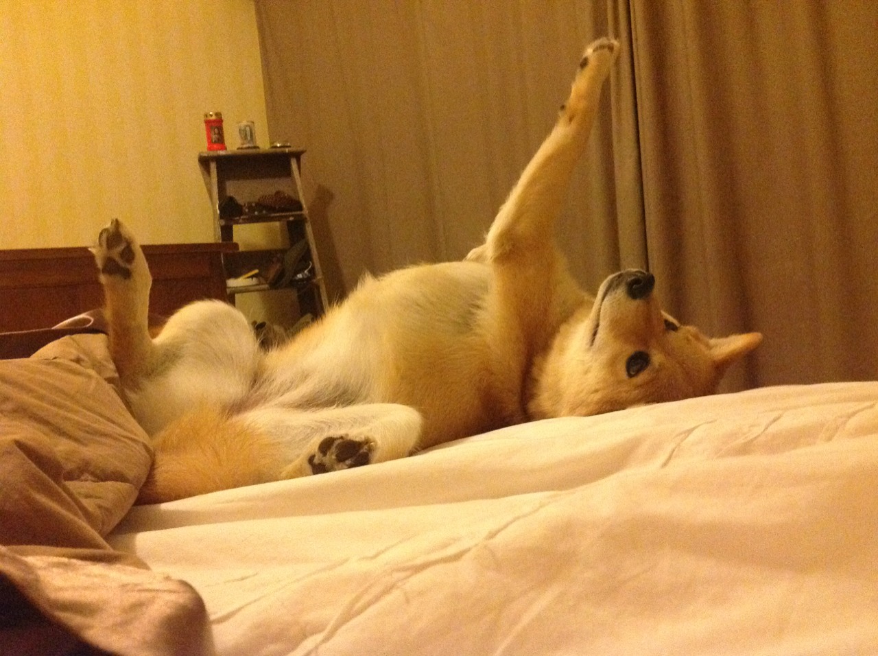 足球场上的解构主义，恩佐的手术刀如何肢解比利亚雷亚尔防线