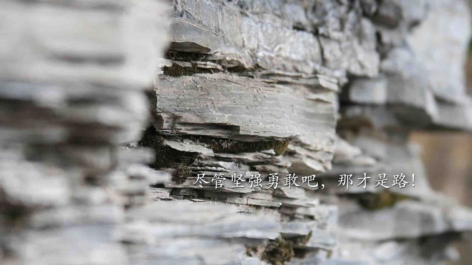 摩洛哥战巴西,范戴克撑起防线壁垒—2026世界杯强强对话中的唯一性时刻