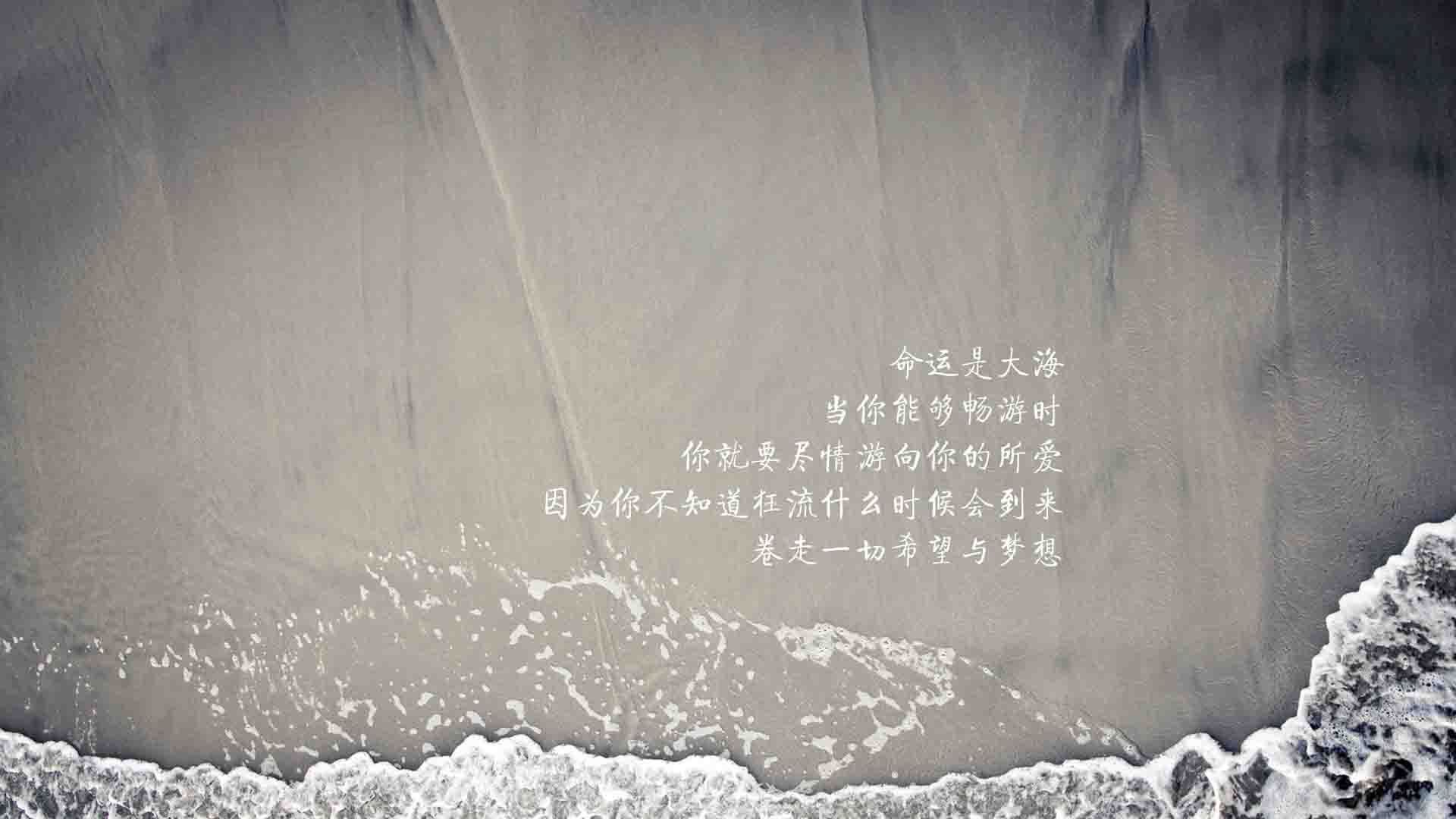 唯一决胜局,2026世界杯H组关键战,巴西大胜美国,布罗佐维奇带队取胜,战术成功书写历史新篇