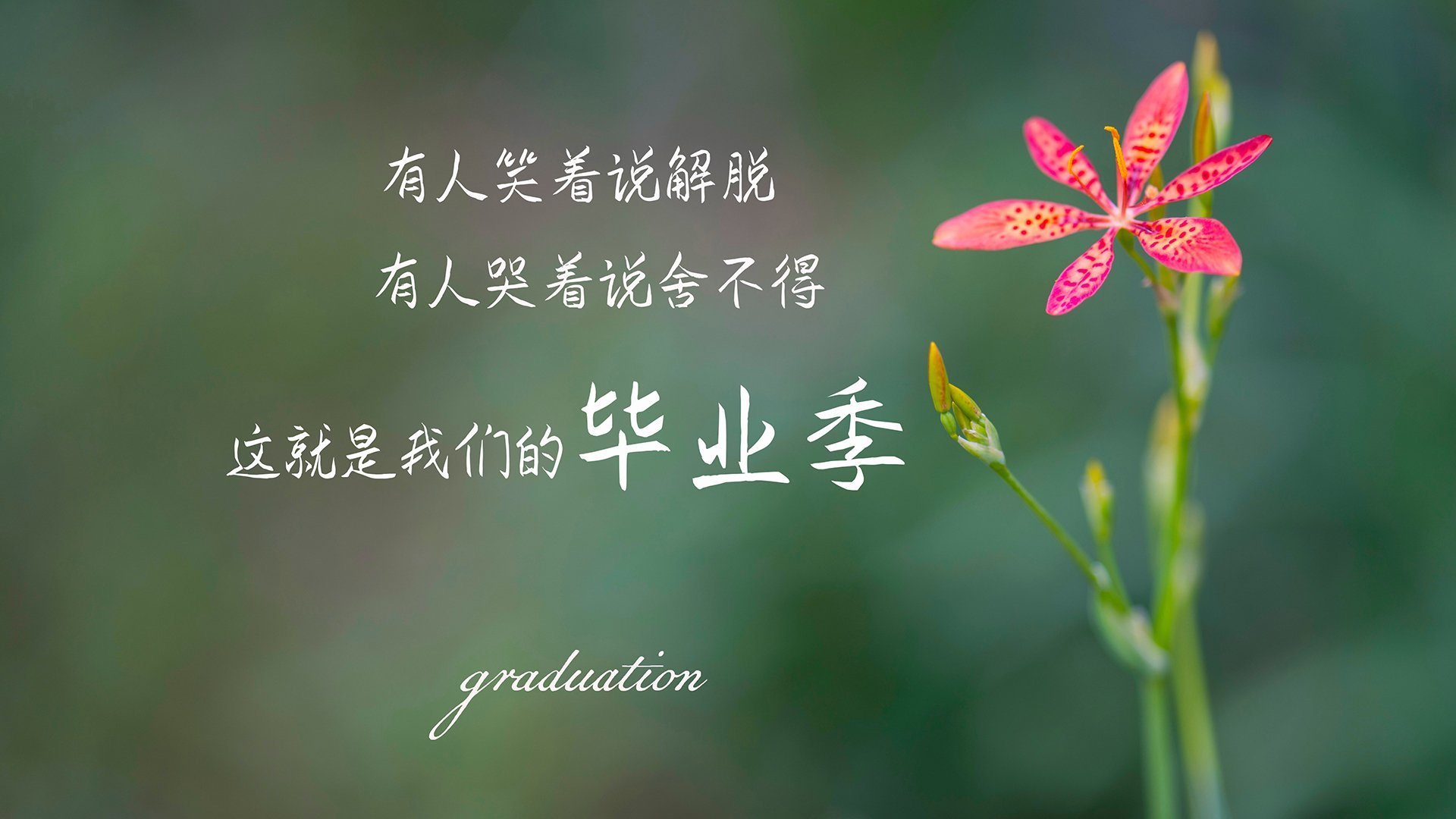 唯一性的C组,当库尔图瓦的光辉淹没德国战车,日本足球写下逆袭新章